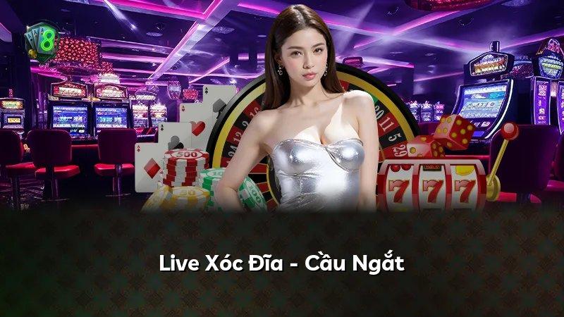 Live Xóc Đĩa - Cầu Ngắt