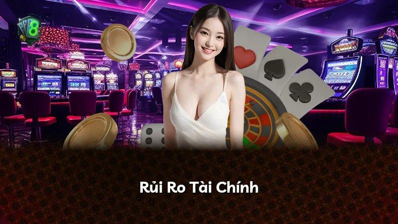 Rủi Ro Tài Chính